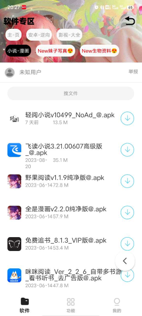 倾城软件库app主界面预览，展示精选软件大厅与分类入口
